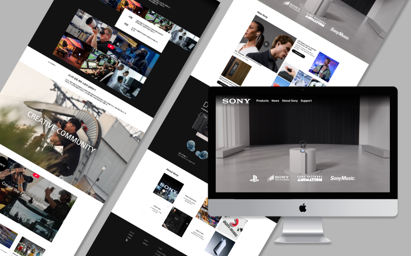 Sony 리뉴얼 프로젝트